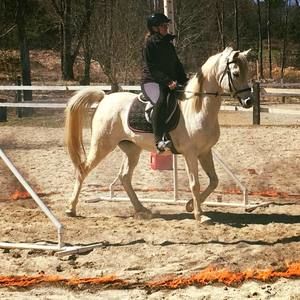 Meet your Posher, Elizabeth